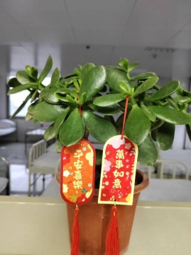 微信图片_20260216085943_737_106